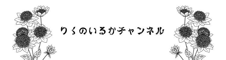 りくのいるかチャンネル
